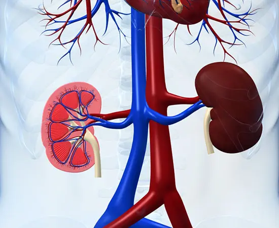 kidney-disorder-diet